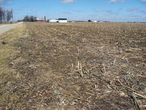 Property photo 22 - 127 Acres Offered in 4 Tracts